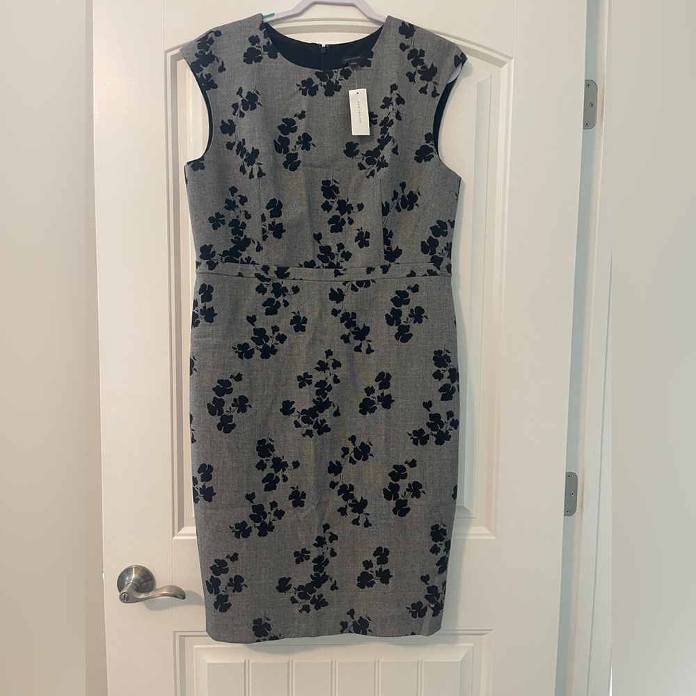 Ann Taylor business work dress 14